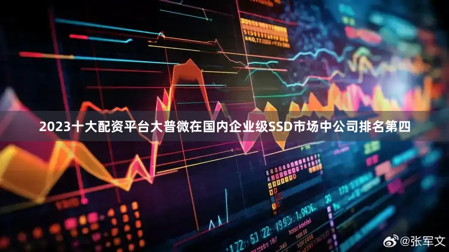 2023十大配资平台大普微在国内企业级SSD市场中公司排名第四