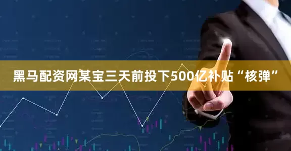 黑马配资网某宝三天前投下500亿补贴“核弹”