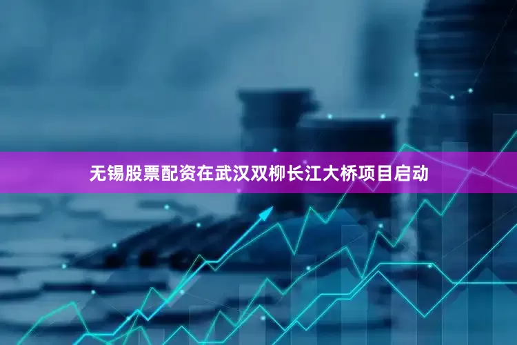 无锡股票配资在武汉双柳长江大桥项目启动