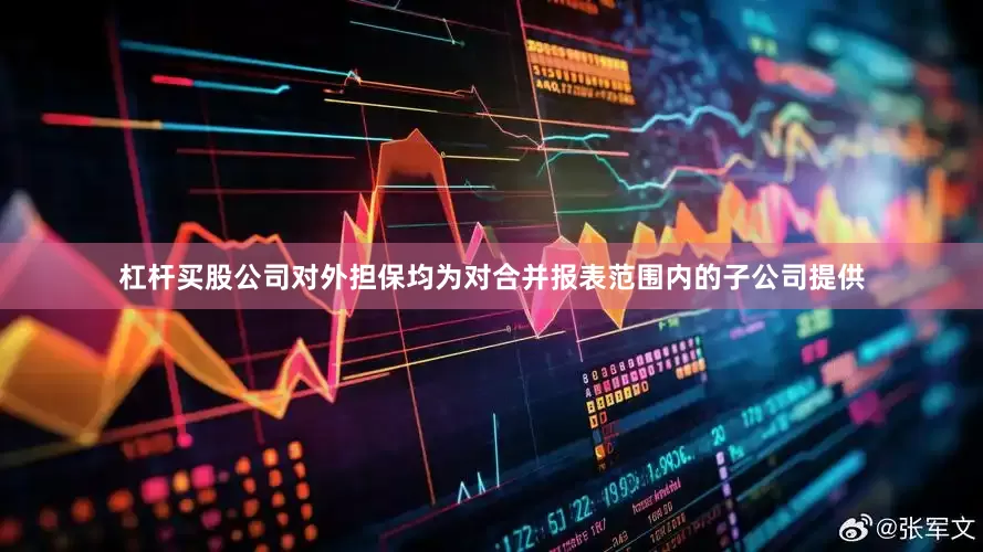 杠杆买股公司对外担保均为对合并报表范围内的子公司提供